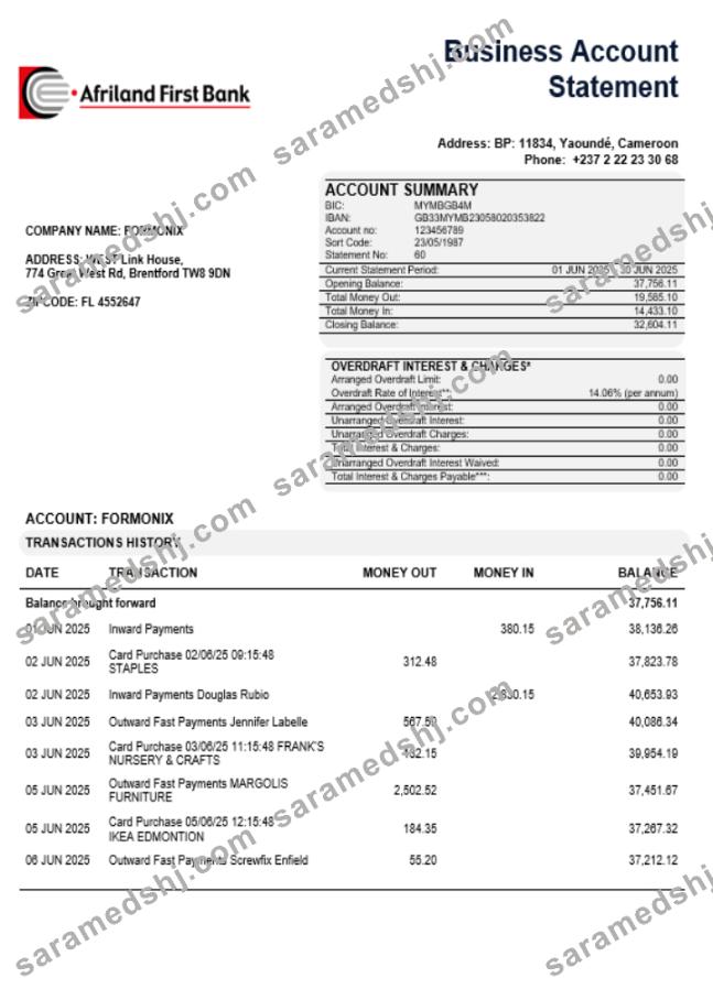 Afriland First organization checking account statement Word and PDF template